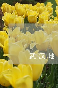 武汉地区离婚律师费用标准 武汉地区离婚律师费用标准