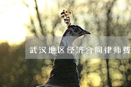 武汉地区经济合同律师费用