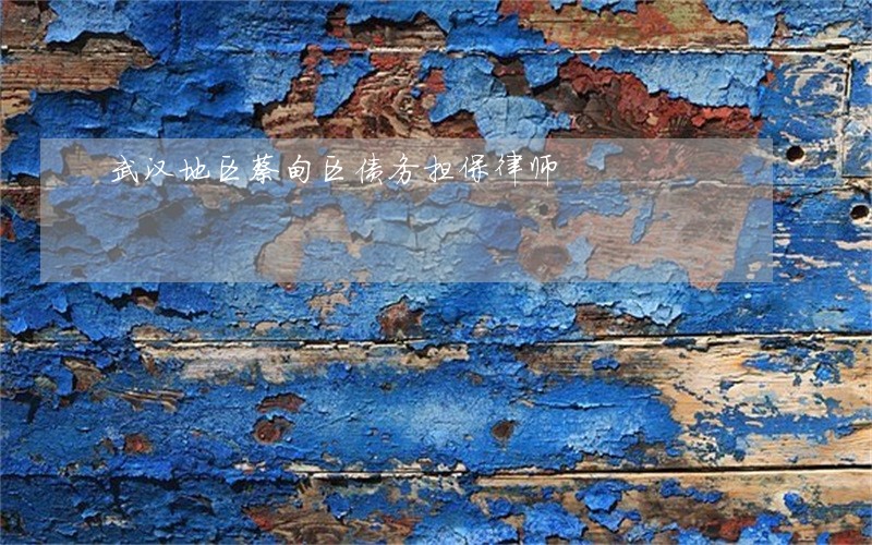 武汉地区蔡甸区债务担保律师 武汉地区蔡甸区债务担保律师