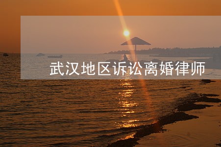 武汉地区诉讼离婚律师 武汉地区诉讼离婚律师