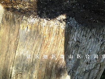 武汉地区青山区公司债务律师