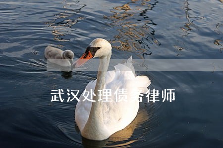 武汉处理债务律师 武汉处理债务律师