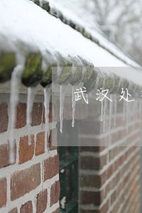 武汉处理网贷的专业律师