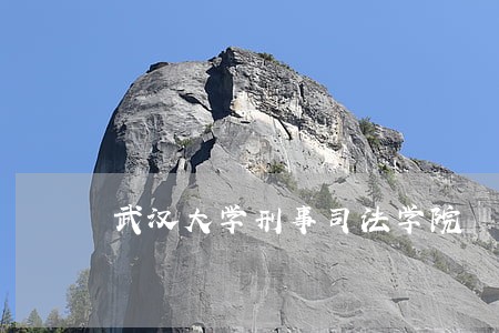 武汉大学刑事司法学院