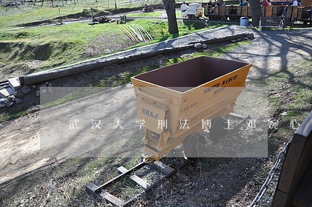 武汉大学刑法博士邓婉心未毕业