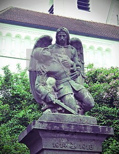 武汉大学行政公益诉讼
