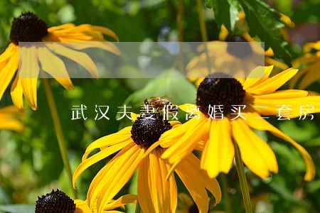 武汉夫妻假离婚买二套房 武汉夫妻假离婚买二套房