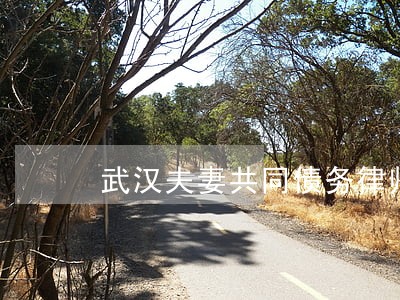武汉夫妻共同债务律师电话 武汉夫妻共同债务律师电话