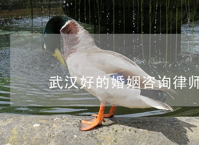 武汉好的婚姻咨询律师 武汉好的婚姻咨询律师