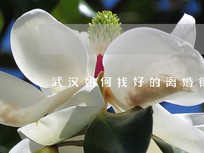 武汉如何找好的离婚律师 武汉如何找好的离婚律师