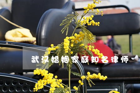 武汉婚姻家庭知名律师 武汉婚姻家庭知名律师