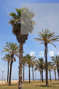 武汉婚姻律师电话多少 武汉婚姻律师电话多少