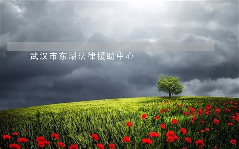 武汉市东湖法律援助中心 武汉市东湖法律援助中心