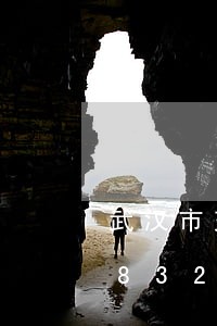 武汉市交通违法条例/2023012638324 武汉市交通违法条例/2023012638324