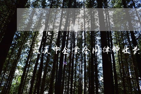 武汉市企业合同律师收费 武汉市企业合同律师收费