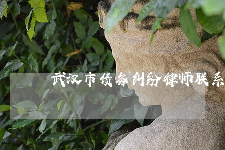 武汉市债务纠纷律师联系方式 武汉市债务纠纷律师联系方式
