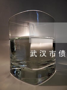 武汉市债务风险代理律师 武汉市债务风险代理律师