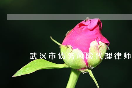 武汉市债务风险代理律师哪个好 武汉市债务风险代理律师哪个好