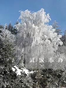 武汉市办理公司法律顾问 武汉市办理公司法律顾问