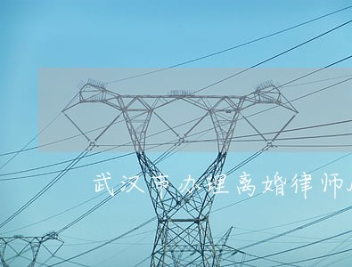 武汉市办理离婚律师服务
