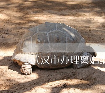 武汉市办理离婚继承律师 武汉市办理离婚继承律师