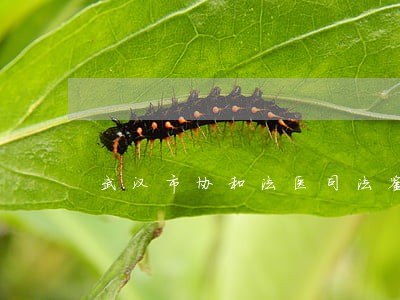 武汉市协和法医司法鉴定中心
