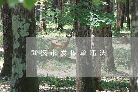 武汉市发传单违法 武汉市发传单违法