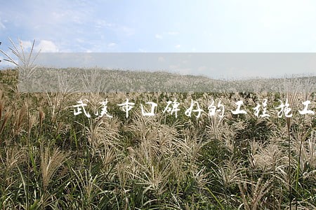 武汉市口碑好的工程施工纠纷律师 武汉市口碑好的工程施工纠纷律师