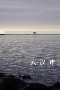 武汉市司法行政网领取 武汉市司法行政网领取