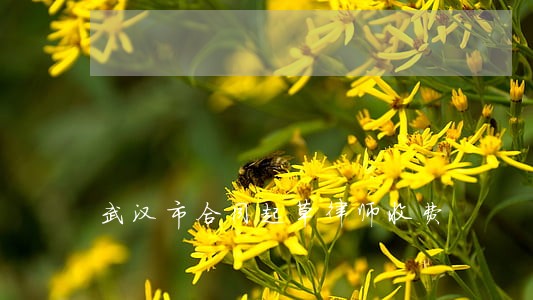 武汉市合同起草律师收费 武汉市合同起草律师收费