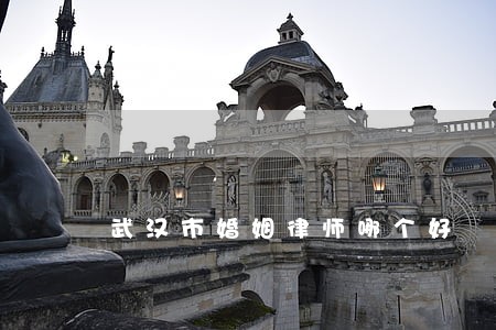 武汉市婚姻律师哪个好 武汉市婚姻律师哪个好