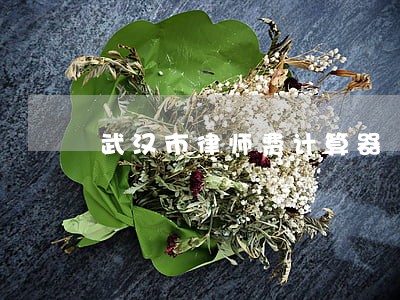 武汉市律师费计算器 武汉市律师费计算器