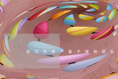 武汉市房产案子律师团队 武汉市房产案子律师团队
