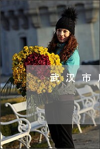 武汉市房产纠纷律师电话 武汉市房产纠纷律师电话