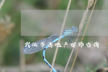 武汉市房地产律师咨询 武汉市房地产律师咨询