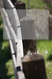 武汉市技术合同纠纷律师多少钱 武汉市技术合同纠纷律师多少钱