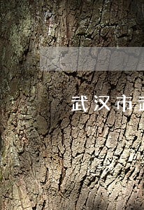 武汉市武昌法院第三法庭 武汉市武昌法院第三法庭