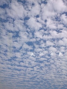 武汉市民之家法律咨询 武汉市民之家法律咨询