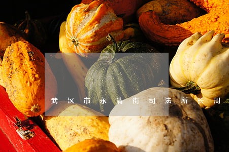 武汉市永清街司法所长周国华 武汉市永清街司法所长周国华