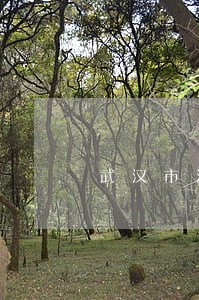 武汉市汉阳司法戒毒所