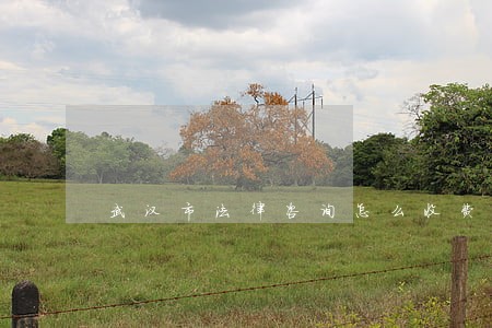 武汉市法律咨询怎么收费 武汉市法律咨询怎么收费