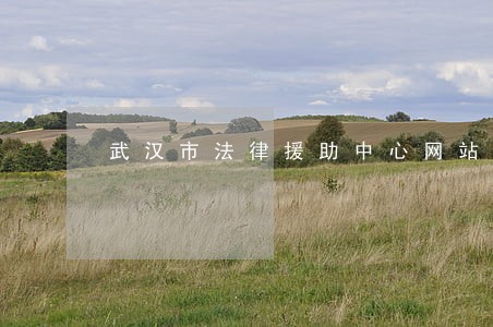 武汉市法律援助中心网站 武汉市法律援助中心网站