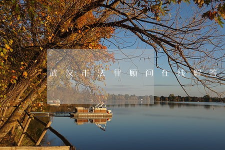 武汉市法律顾问在线解答 武汉市法律顾问在线解答
