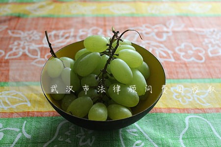 武汉市法律顾问费用收取 武汉市法律顾问费用收取