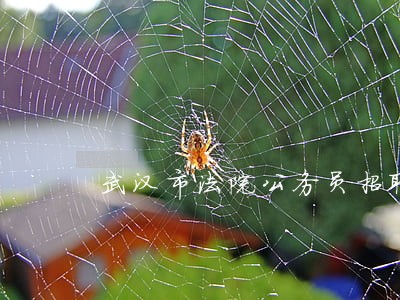 武汉市法院公务员招聘信息网