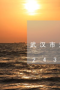 武汉市法院刑事文书/2023030312438