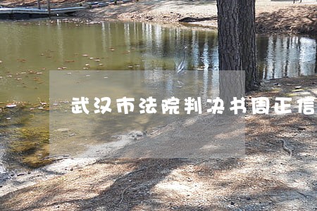 武汉市法院判决书周正信用卡 武汉市法院判决书周正信用卡