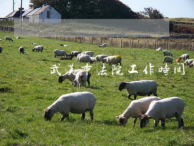 武汉市法院工作时间