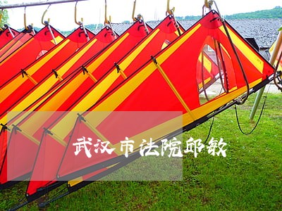 武汉市法院邱敏 武汉市法院邱敏