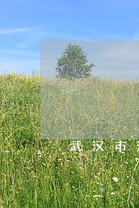 武汉市洪山区债务纠纷律师 武汉市洪山区债务纠纷律师